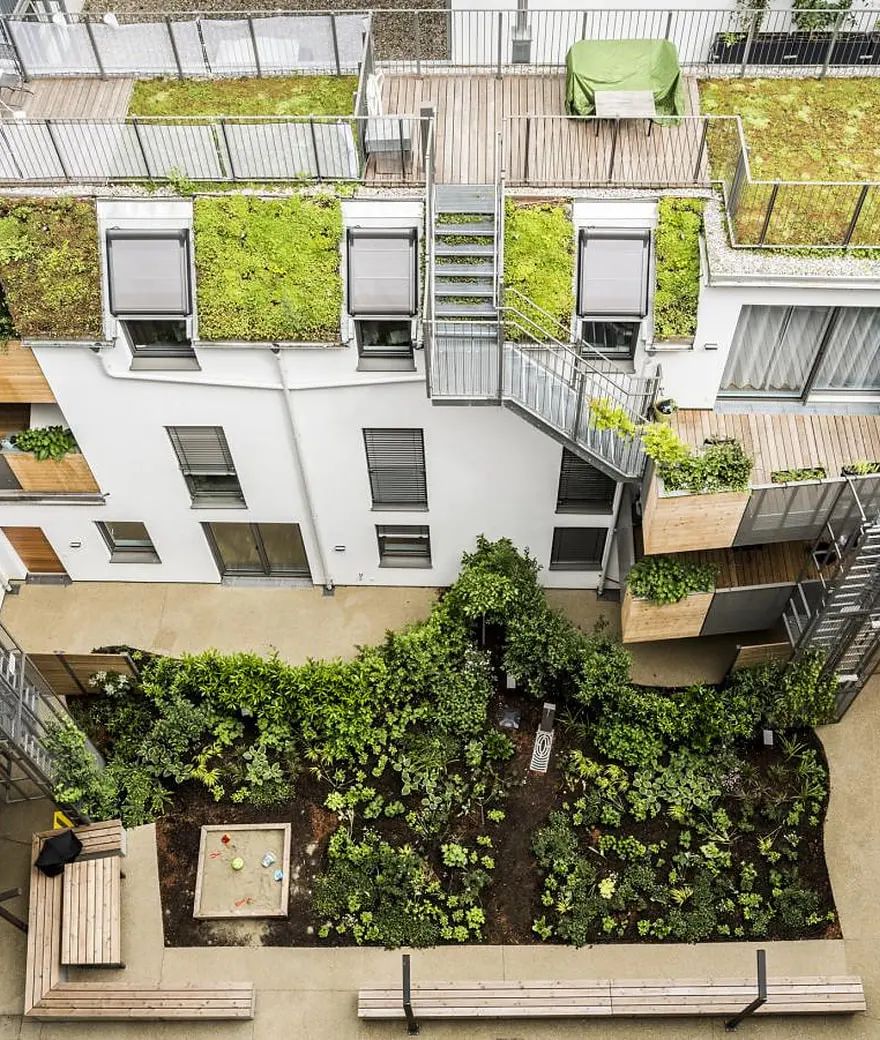 Planted terrace treated as part of the envelope, Arndtstrasse, Vienna