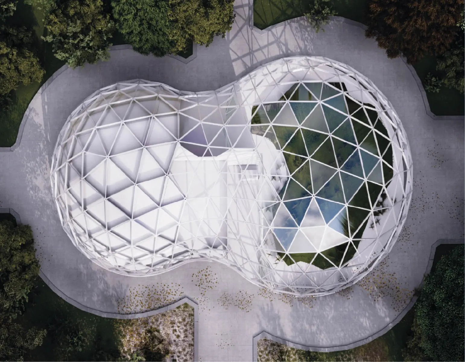 The two domes seen from above, showing the plan of the joined shells