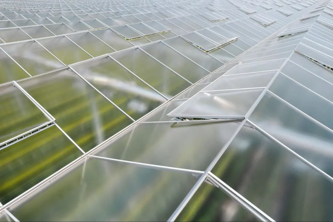 Detail of roof glazing: tempered panes seated in aluminium bars with a vent arm crossing the frame