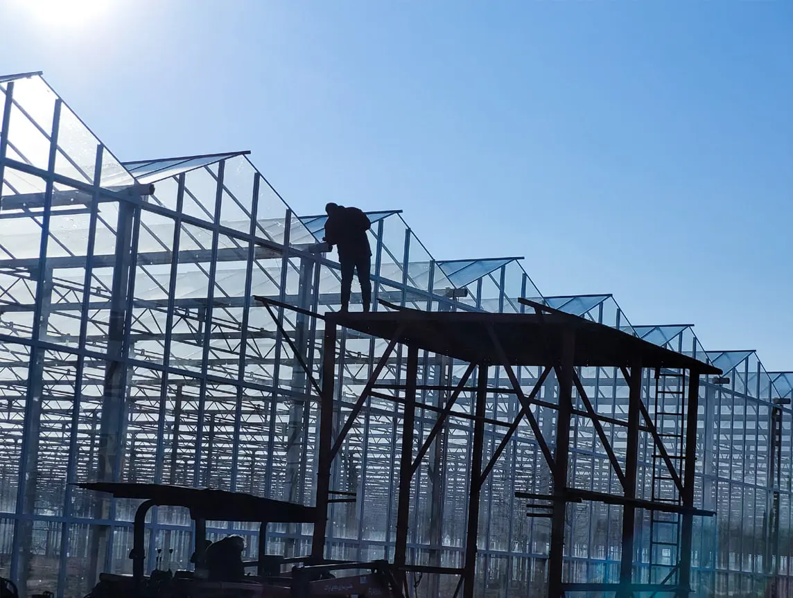 Steel frame erection at the gable end of a Venlo greenhouse, columns and roof bars standing against a clear sky