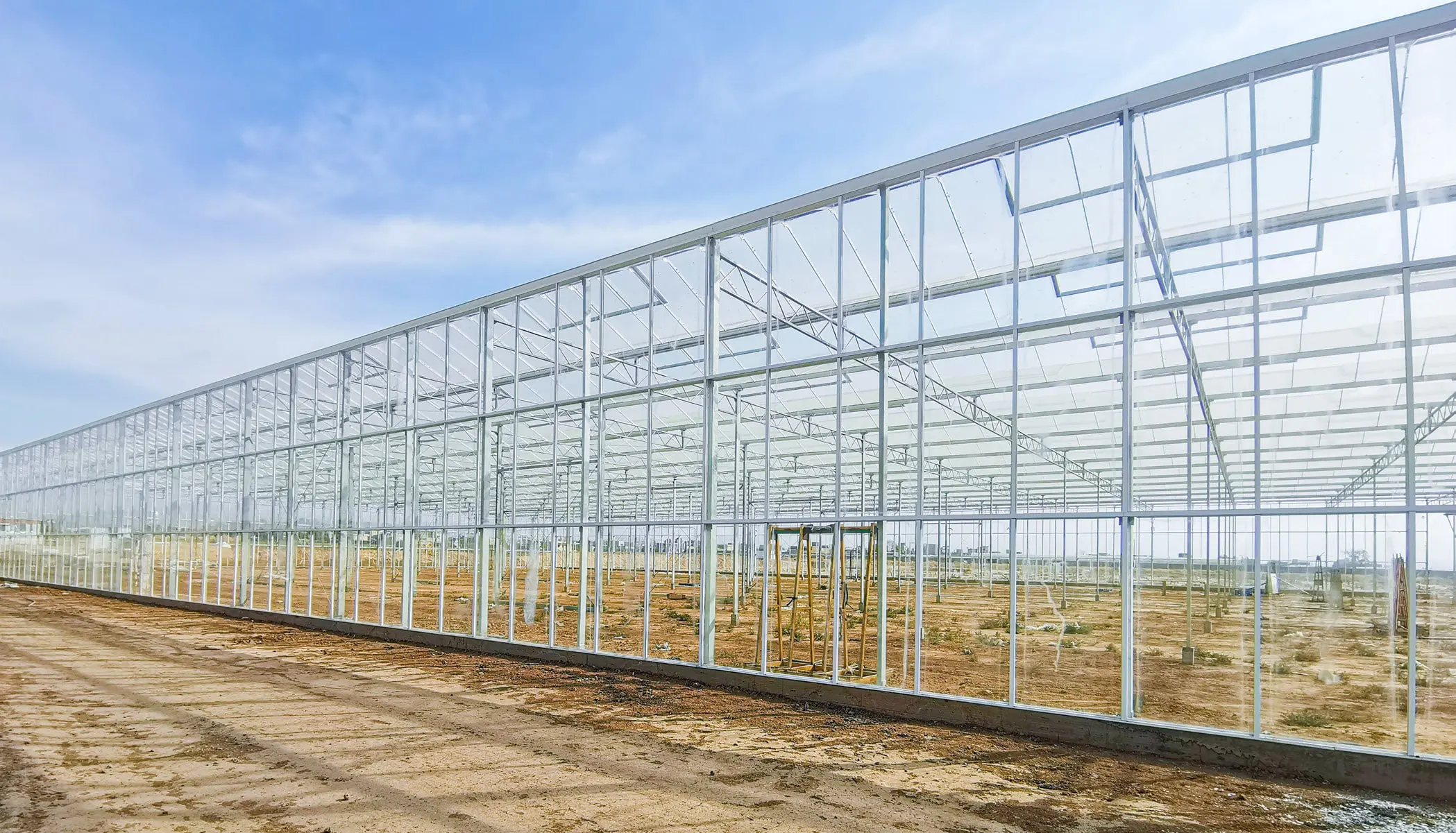 Side elevation of a Venlo glass greenhouse, gutter line and glazed side wall running to the horizon